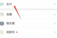 洪恩識字怎么關閉自動續(xù)