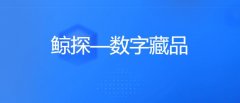 鯨探怎么賺錢