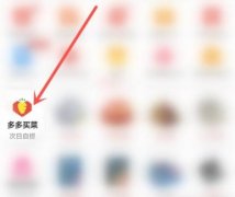 多多買(mǎi)菜優(yōu)惠券哪里領(lǐng)