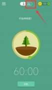 forest怎么加入房間