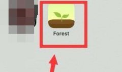 forest怎么開啟深度專注模式
