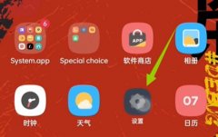 coloros12開發(fā)者選項(xiàng)位置
