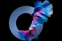 coloros12和鴻蒙系統(tǒng)哪個好