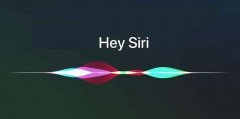 siri意思詳細(xì)介紹