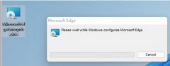 win11flash運(yùn)行異常問題修復(fù)失敗解決方法