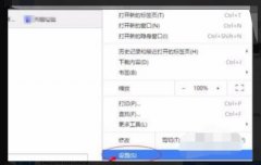 谷歌瀏覽器ie內(nèi)核使用方法