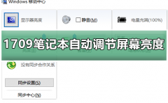Win10預(yù)覽版1709筆記本總是自動(dòng)調(diào)節(jié)屏幕亮