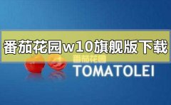 番茄花園win10旗艦版系統(tǒng)在哪下載