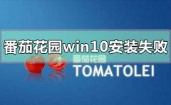 番茄花園win10安裝失敗怎么辦