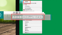 怎么打開SWF格式的文件