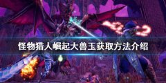 《怪物獵人崛起》大獸玉