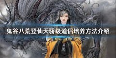 《鬼谷八荒》道侶如何培養(yǎng)？登仙天驕級(jí)