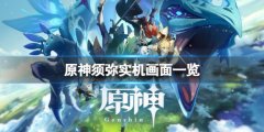 《原神》須彌長(zhǎng)什么樣子
