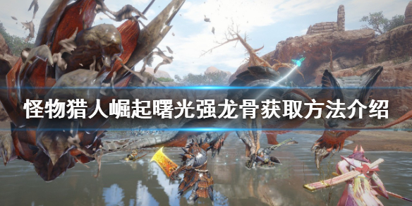 《怪物獵人崛起》強(qiáng)龍骨如何獲得？曙光強(qiáng)龍骨獲取方法介紹