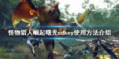 《怪物獵人崛起》cdkey如何