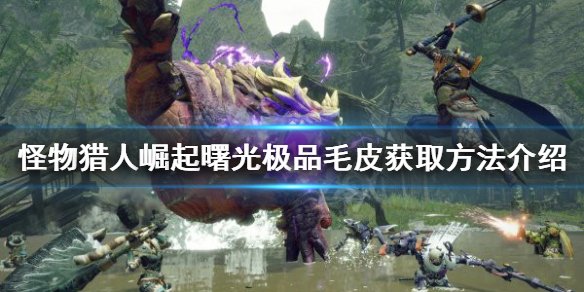 《怪物獵人崛起》極品毛皮如何獲得？曙光極品毛皮獲取方法介紹