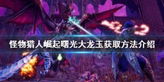 《怪物獵人崛起》大龍玉