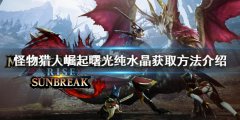 《怪物獵人崛起》純水晶如何獲得？曙光