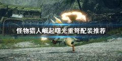 《怪物獵人崛起》重弩怎么玩？曙光重弩