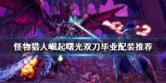 《怪物獵人崛起》雙刀怎么玩？曙光雙刀
