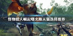 《怪物獵人崛起》隨從貓