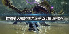 《怪物獵人崛起》麻痹雙
