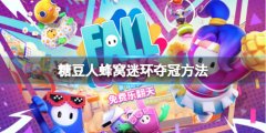 《糖豆人終極淘汰賽》蜂