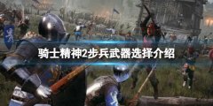 《騎士精神2》步兵選什么