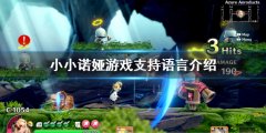《小小諾婭》有中文嗎？