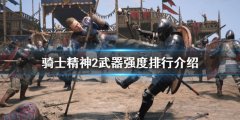 《騎士精神2》什么武器好