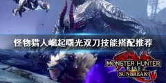 《怪物獵人崛起》曙光雙
