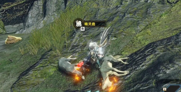 《怪物獵人崛起》曙光極品毛皮怎么獲得？曙極品毛皮獲得方法