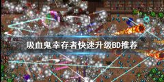 《吸血鬼幸存者》如何快