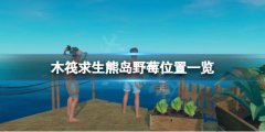 《木筏求生》藍(lán)莓在哪？