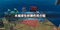 《木筏求生》炸彈有什么