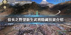 《信長之野望新生》隱藏