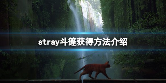 《迷失》stray斗篷給誰(shuí)？斗篷獲得方法介紹