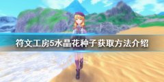 《符文工房5》水晶花種子