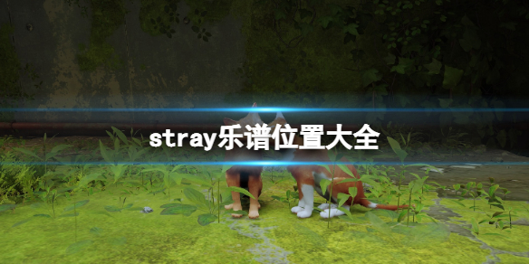 《迷失》stray樂(lè)譜有什么用？樂(lè)譜位置大全