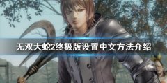 《無(wú)雙大蛇2終極版》如何