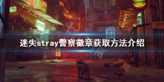 《迷失》警察徽章如何獲