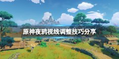 《原神》夜鴉視線調(diào)整技巧分享 2.8菲謝爾