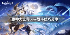 《原神》大世界boss戰(zhàn)斗技