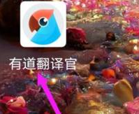 有道翻譯官的語(yǔ)速如何修改-有道翻譯官修