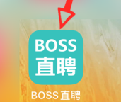 boss直聘如何聯(lián)系在線客服