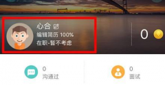 boss直聘工作經(jīng)歷怎么填寫