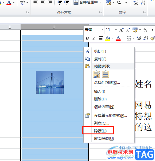 ?excel設(shè)置圖片和表格同時(shí)隱藏的教程