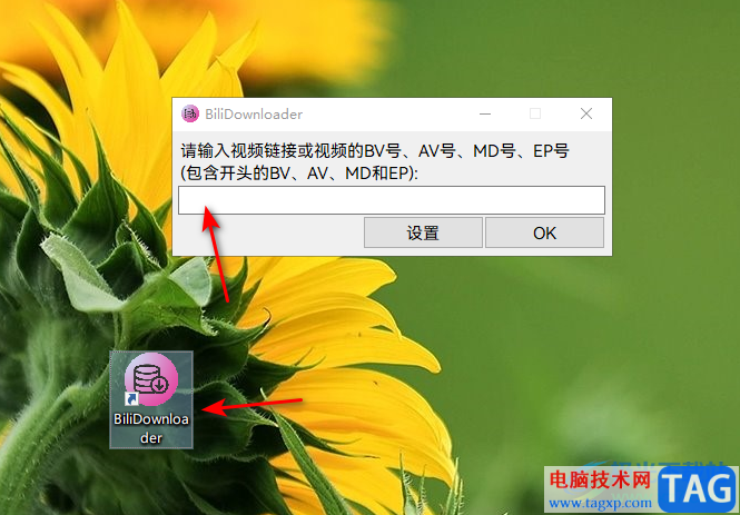 BiliDownloader下載嗶哩嗶哩視頻的方法