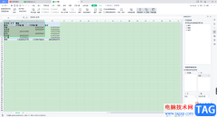 WPS Excel中使用數(shù)據(jù)透視表