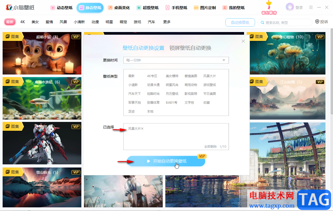 小鳥壁紙?jiān)O(shè)置每隔5分鐘自動(dòng)切換壁紙的方法教程
